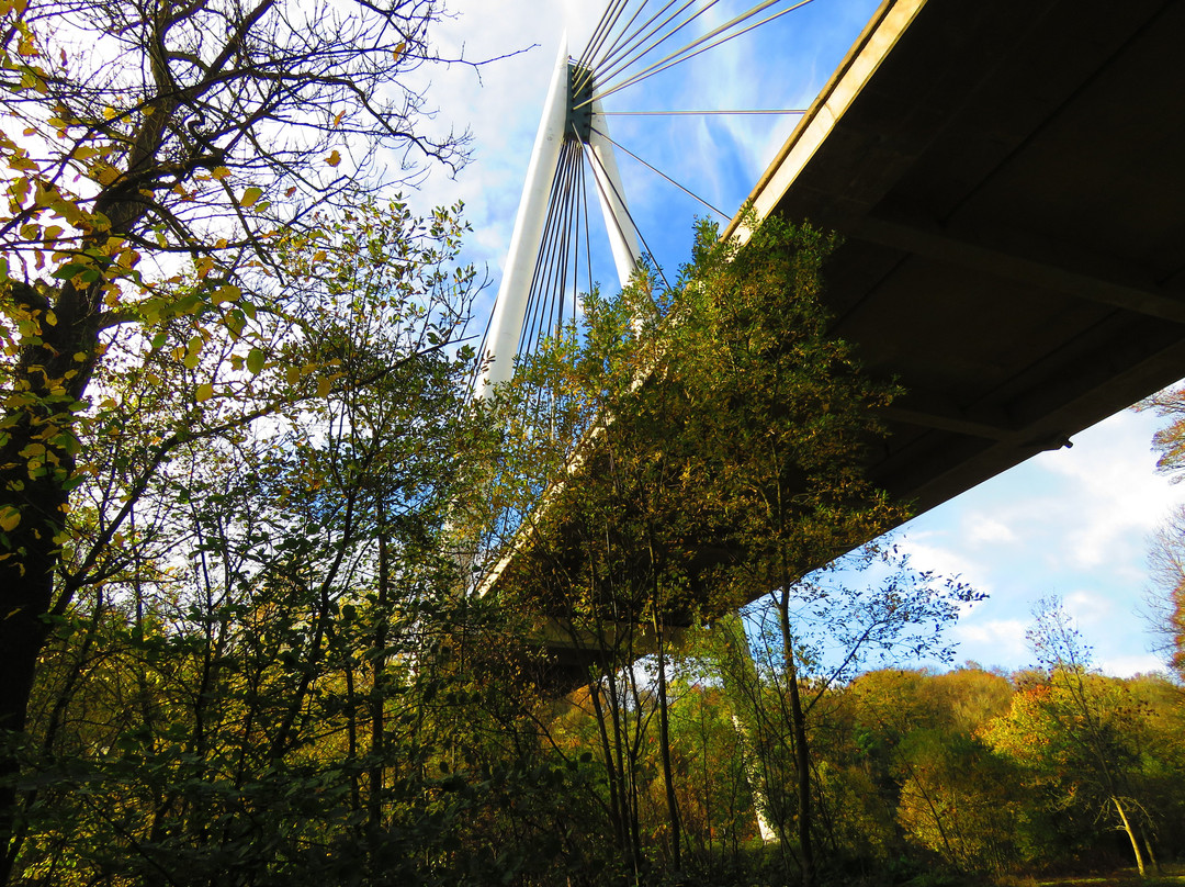 The River Leven Suspension Bridge景点图片