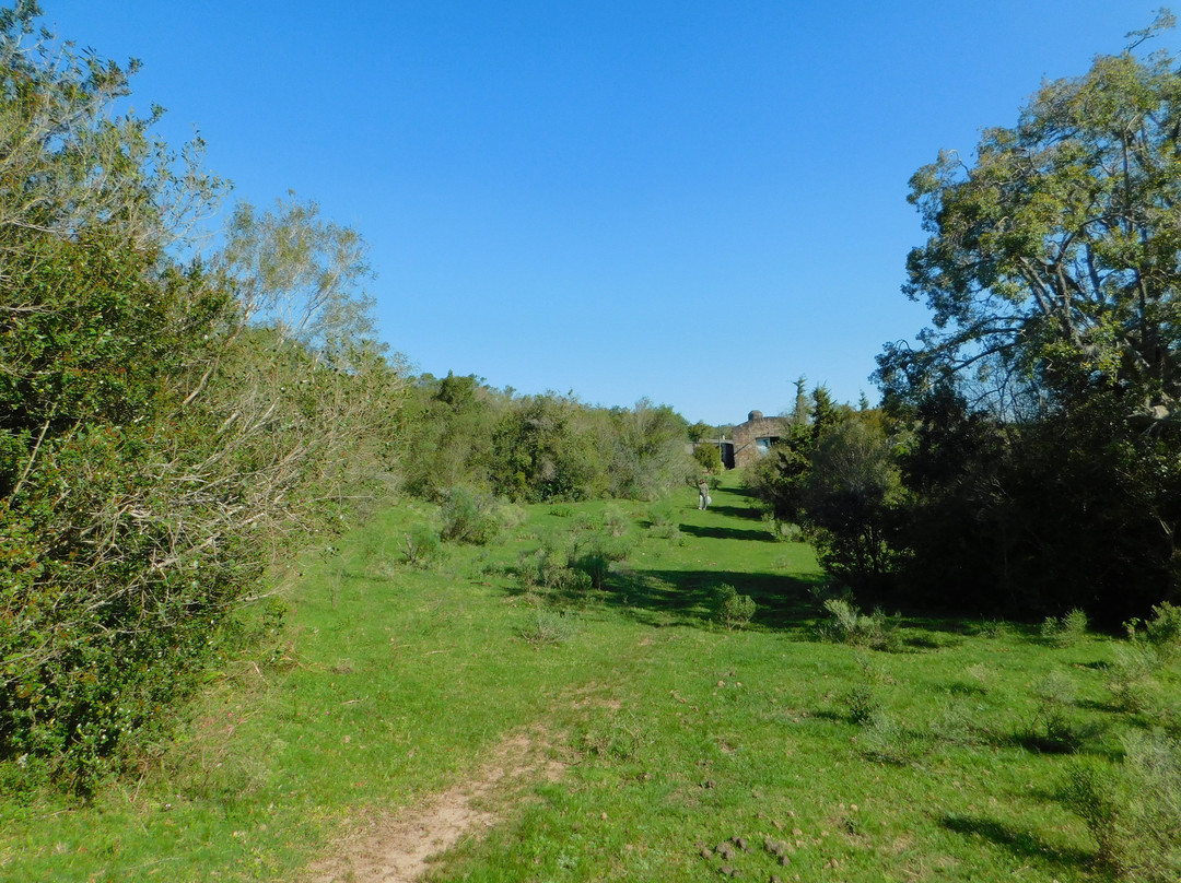 La Calaguala Hostel主图