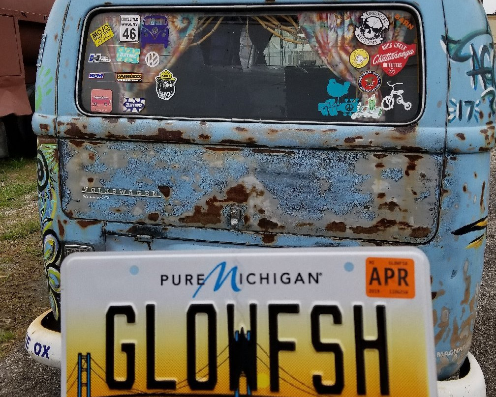 Glow Fish Studios景点图片
