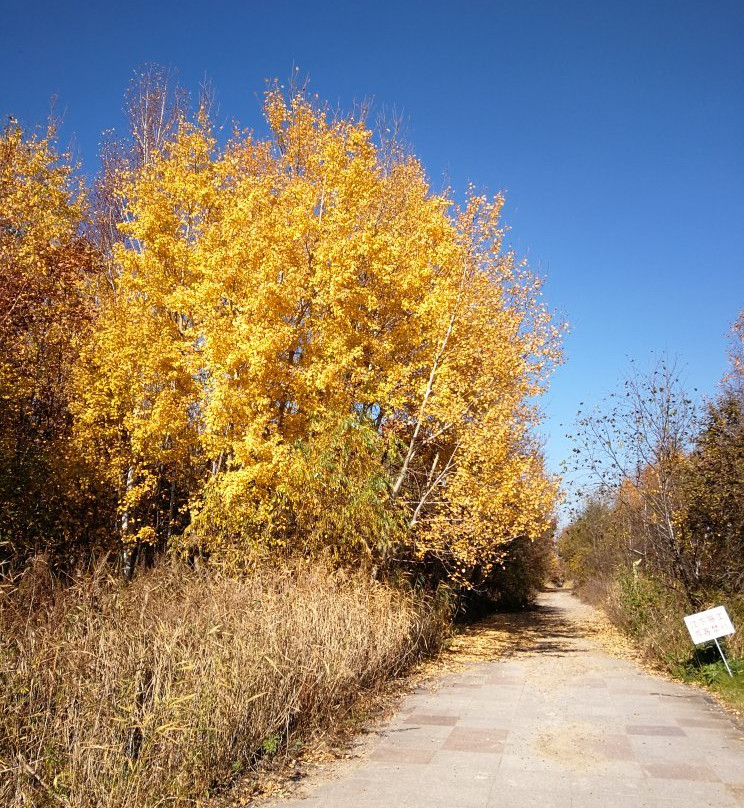嘉荫恐龙国家地质公园-伊春市必去景点