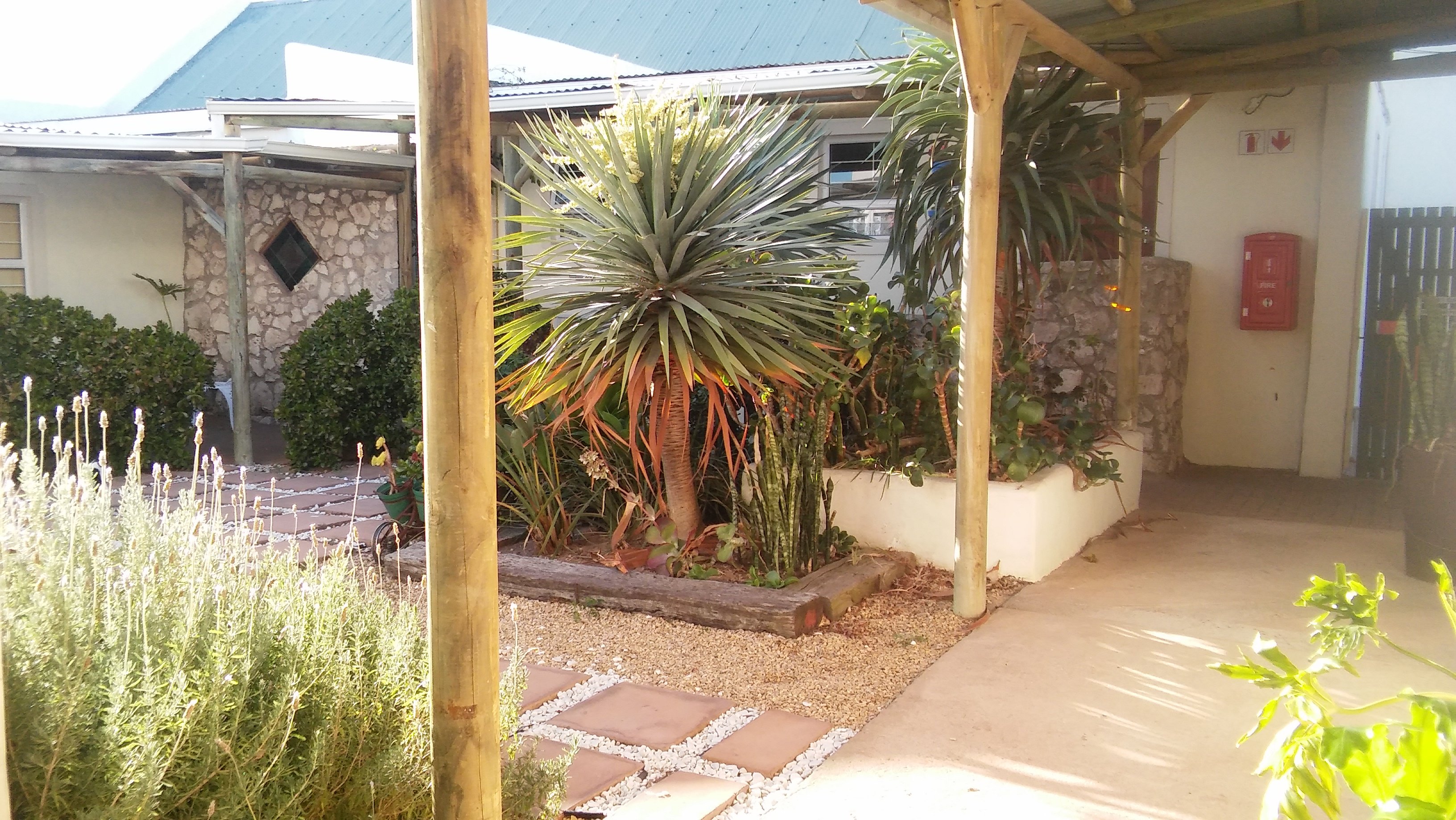 Masada Guest House-酒店景观