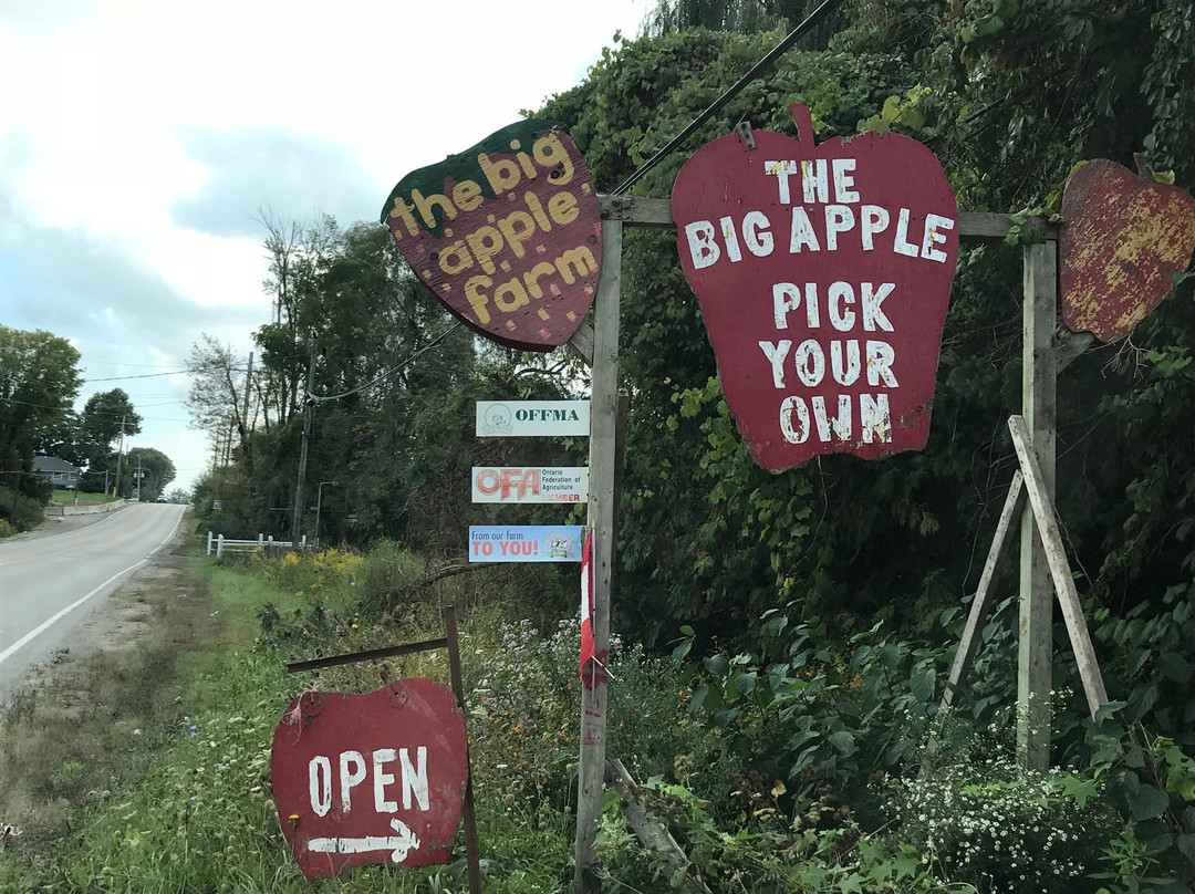 The Big'r Apple Farm-布兰普敦必去景点