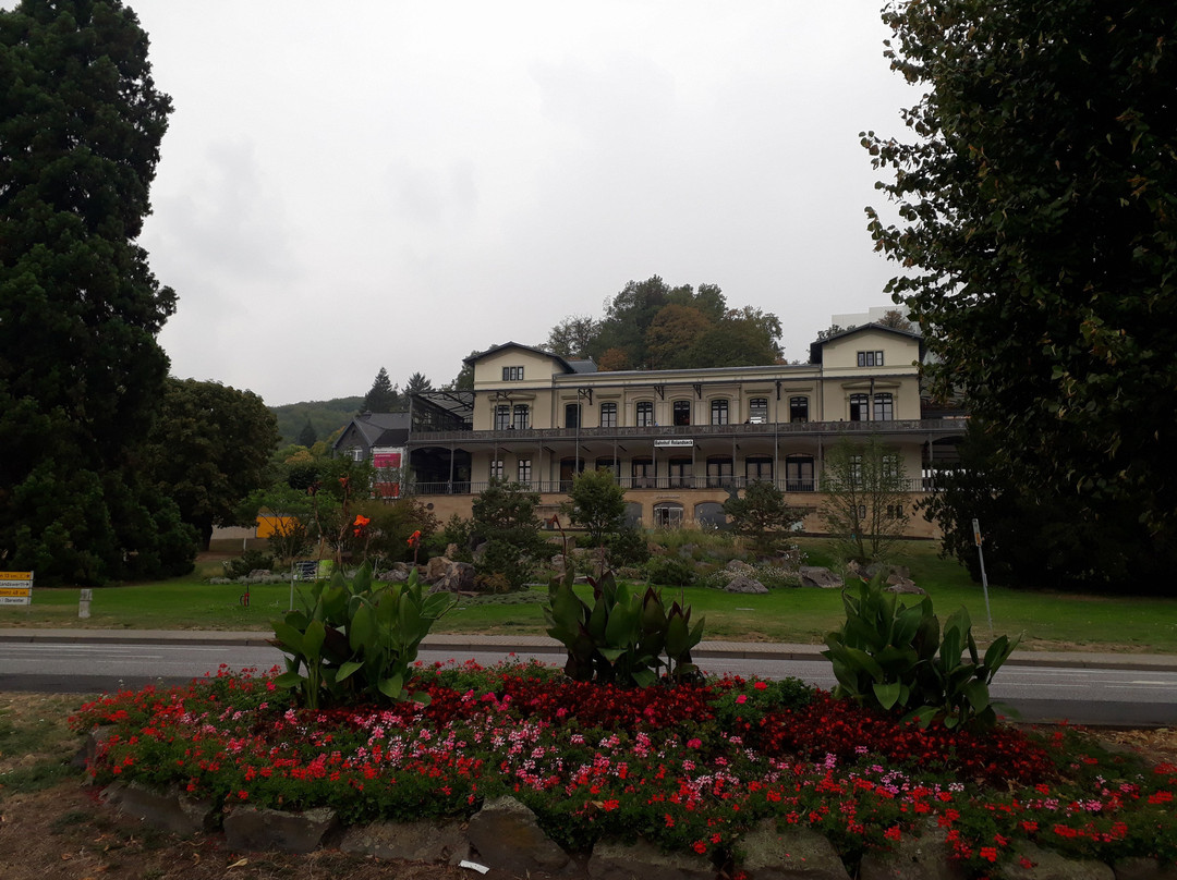 Arp Museum景点图片