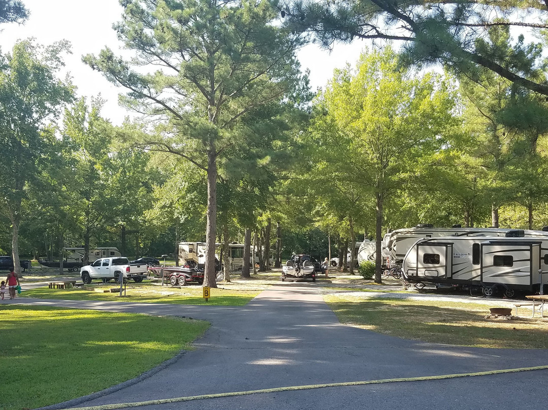 Paris Landing / Kentucky Lake Koa