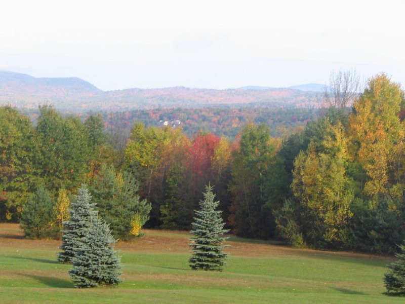 Henniker Motel主图