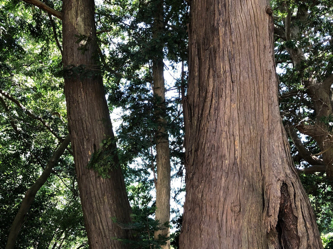 Kamakazu Ise Grand Shrine