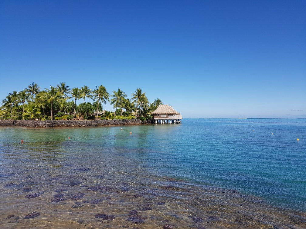 TOPDIVE Tahiti景点图片