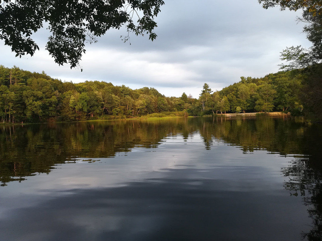 Puffer's Pond-艾姆赫斯特必去景点