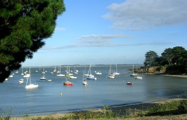 Camping les Ajoncs d'or - Damgan