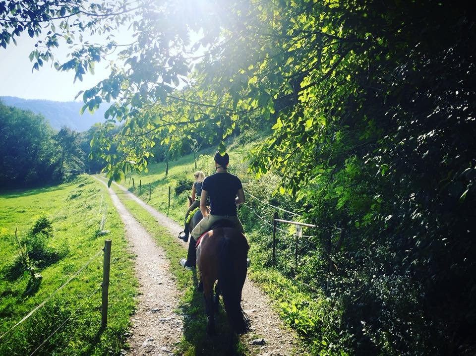 Horse Riding Club Ranch Pelance景点图片