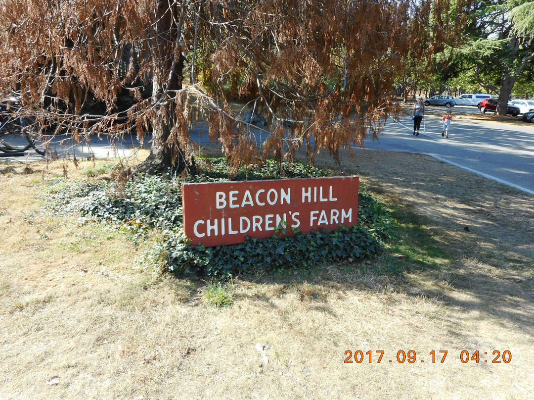 Beacon Hill Children's Farm-维多利亚必去景点