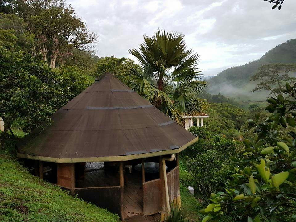 Duck House