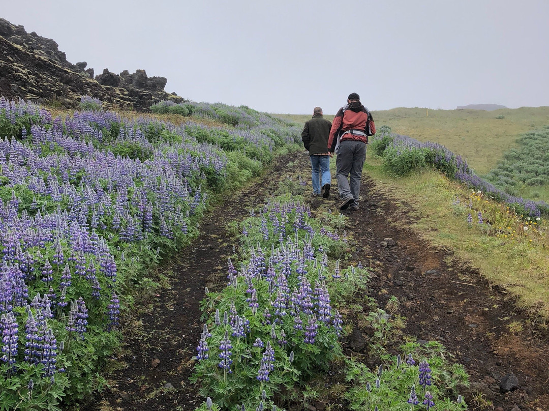 Gabriel Guesthouse主图