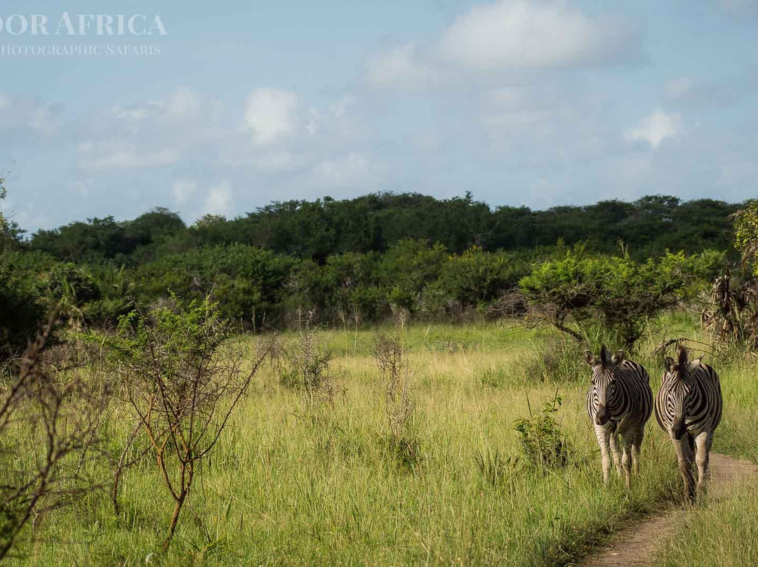 Outdoor Africa-理查兹湾必去景点