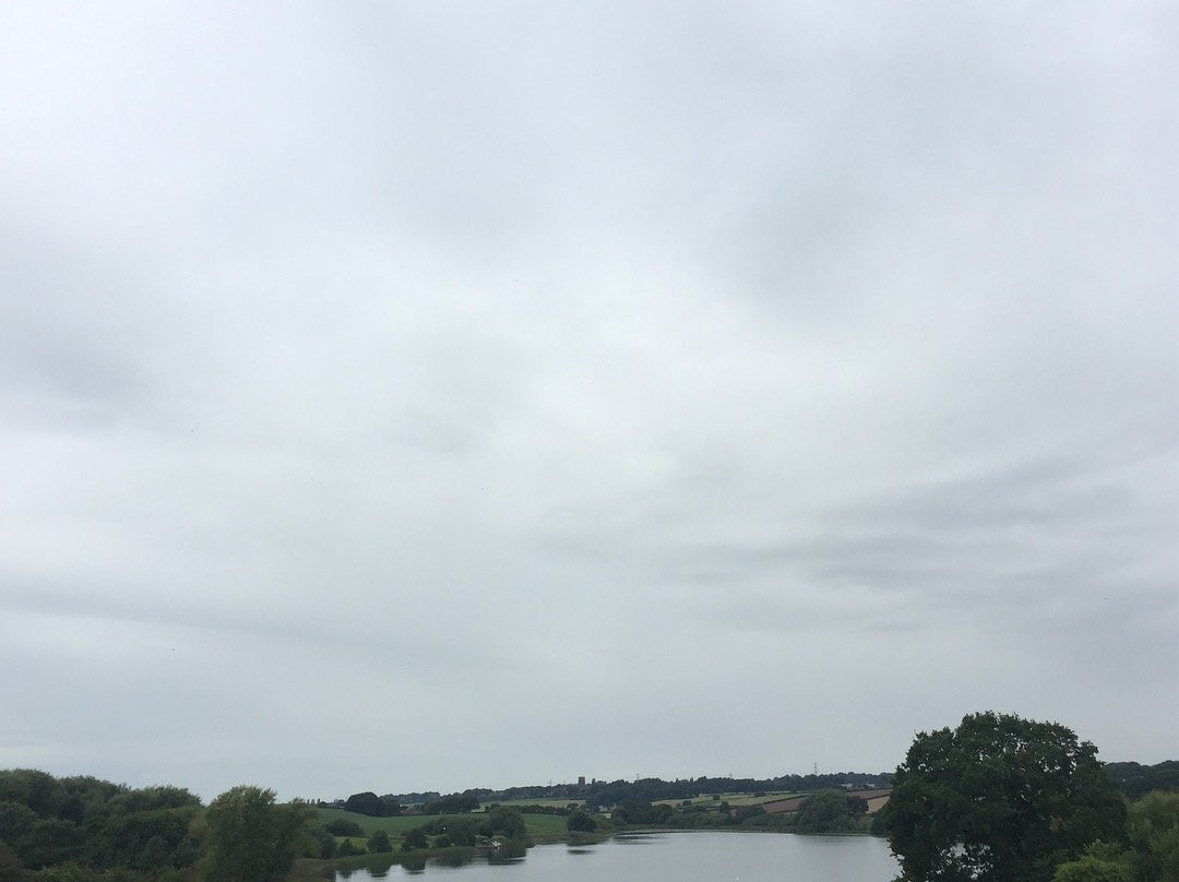 Pickmere Lake-纳茨福德必去景点