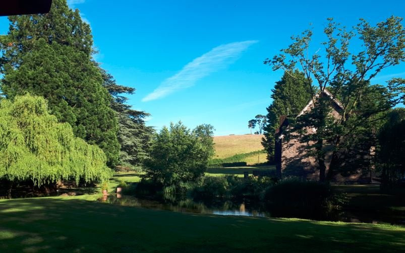 Cwrt Bleddyn Hotel & Spa主图
