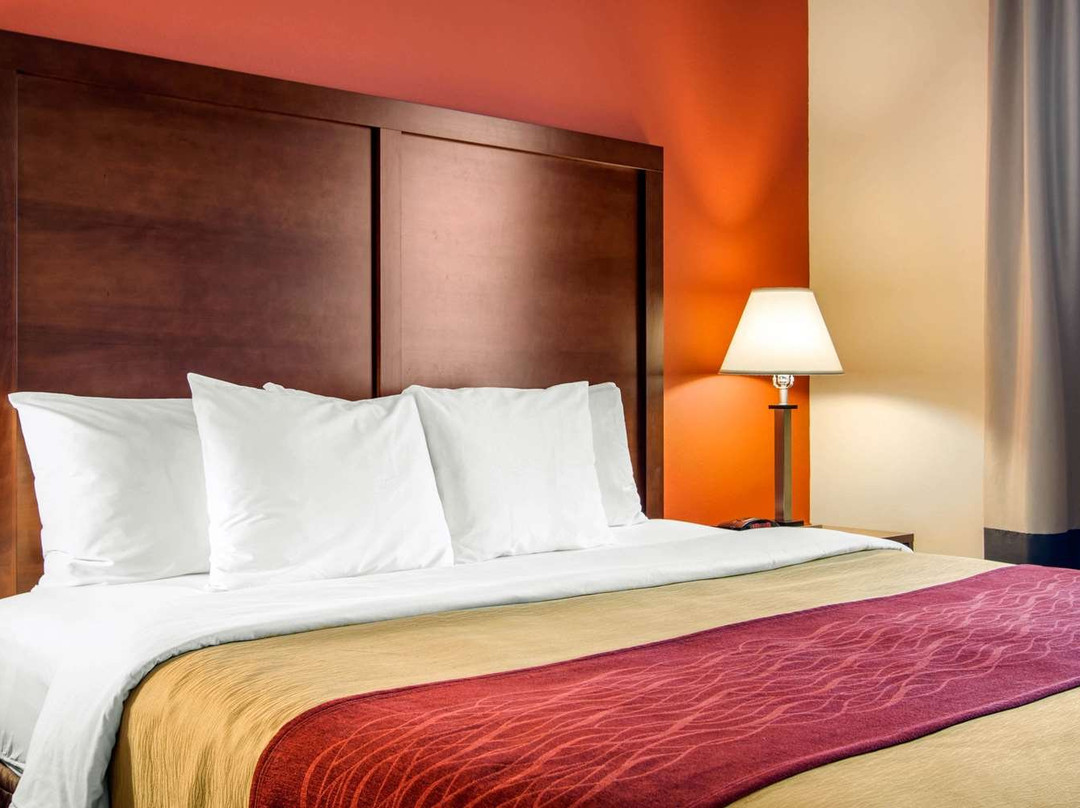 Comfort Inn & Suites主图