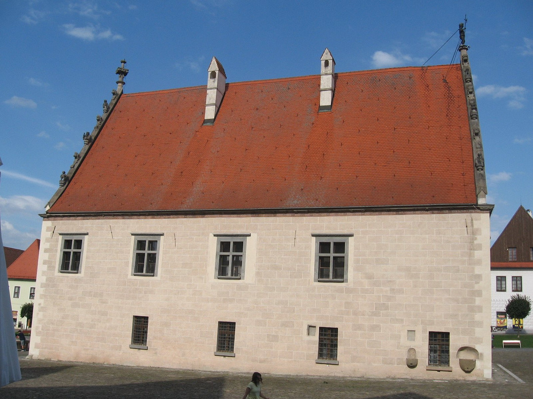 Saris Museum - Town Hall-布拉迪斯拉发必去景点