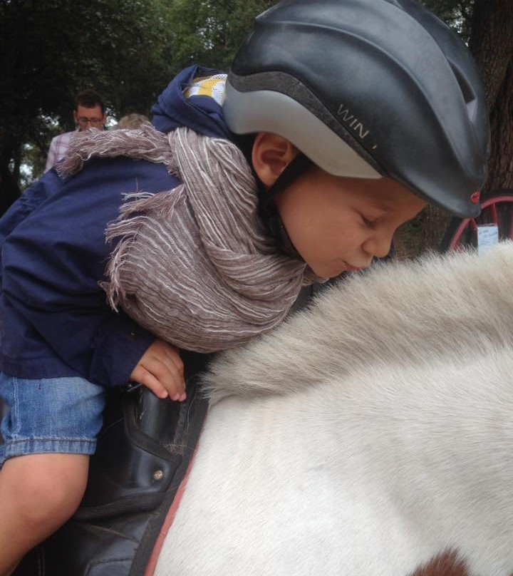 Les Poneys d'O Village-La Tranche sur Mer必去景点