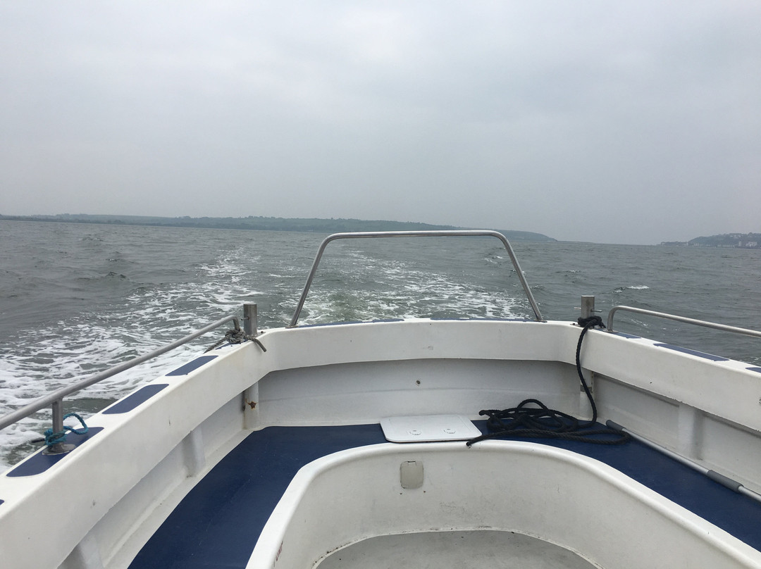 Blackwater Day Cruise-Youghal必去景点