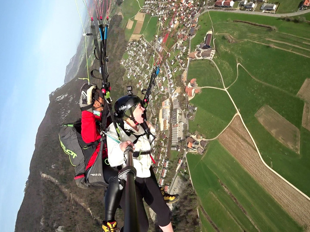 DragonView.ch Paragliding Adventure景点图片
