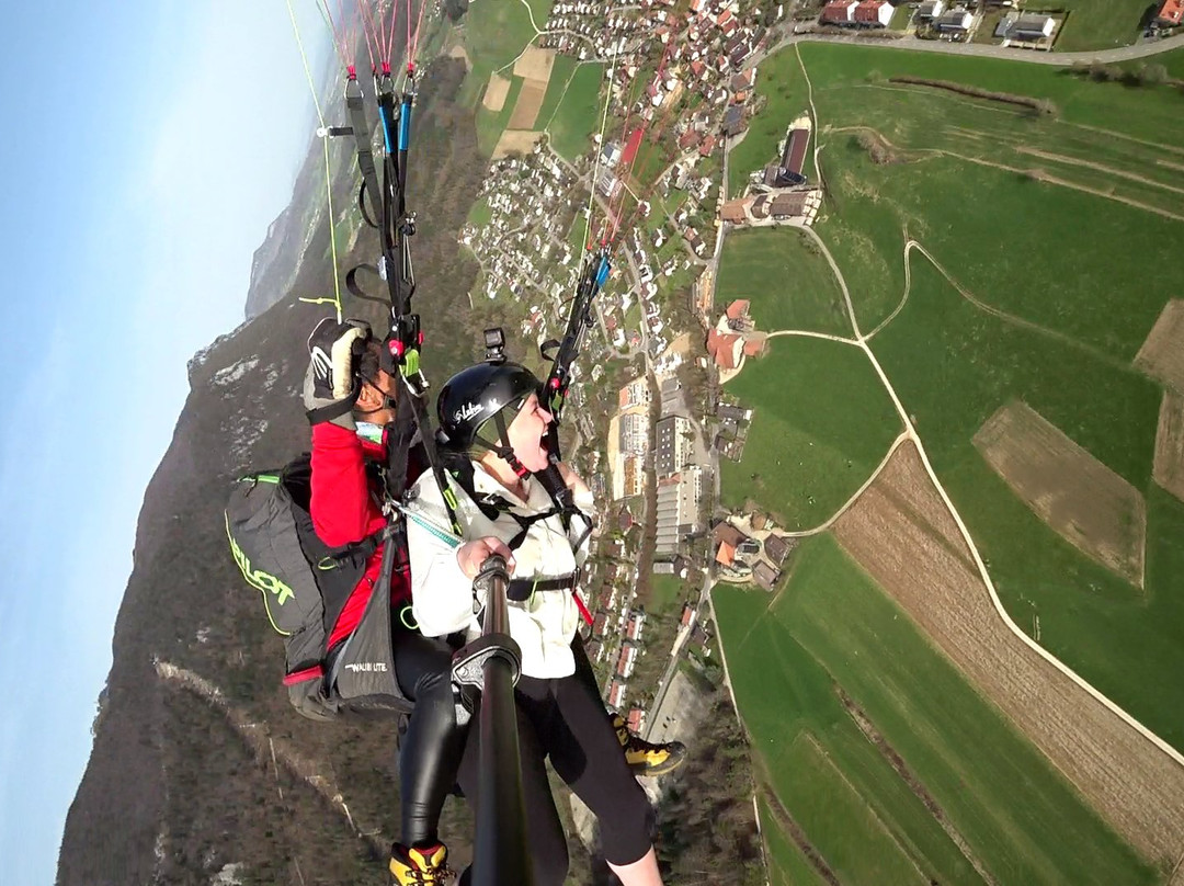 DragonView.ch Paragliding Adventure-苏黎世必去景点