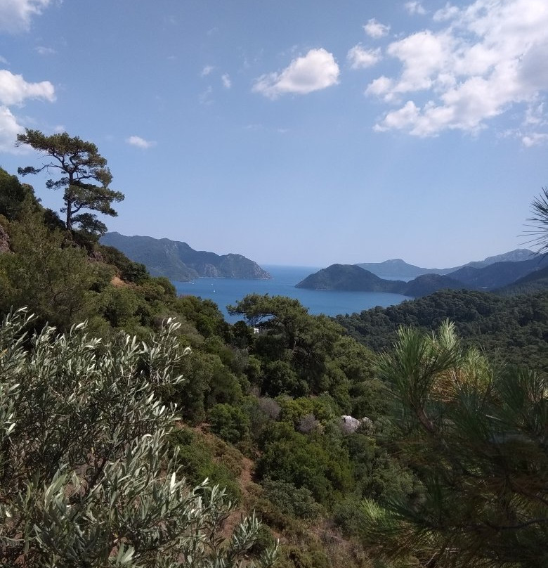 Marmaris Milli Parki景点图片