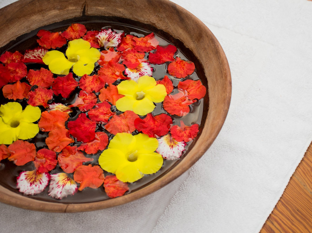 Baje Spa-Hastings必去景点