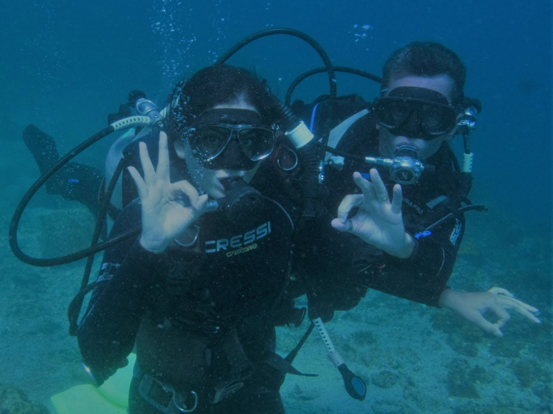 By Fish Mergulho-Dive Center-阿拉伊阿尔港必去景点