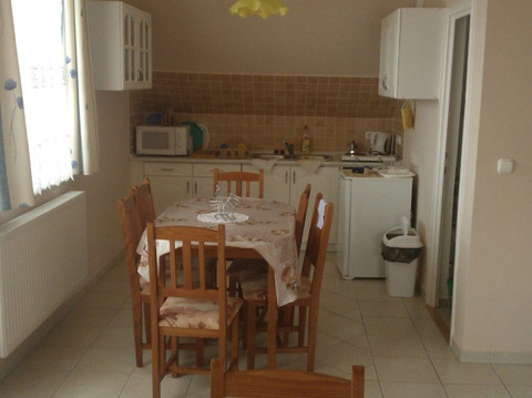 Erika Vendeghaz主图