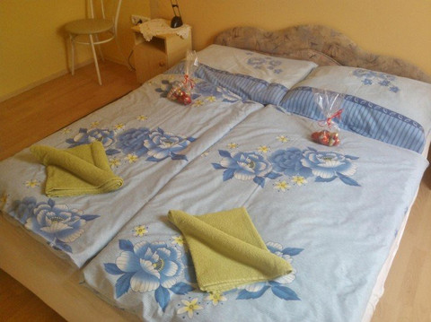 Erika Vendeghaz主图