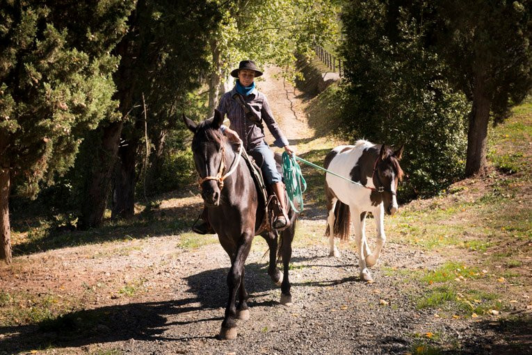 Borgo Pignano Horseback Riding景点图片