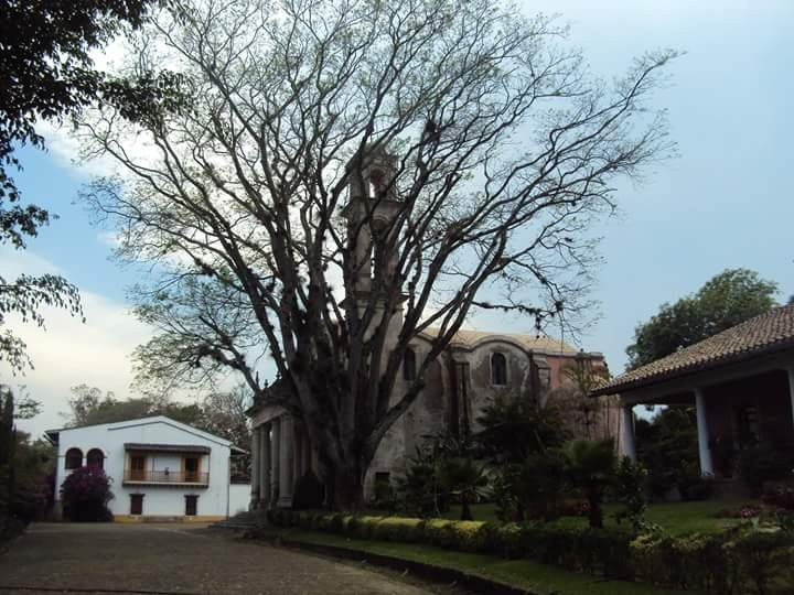 Museo El Lencero景点图片
