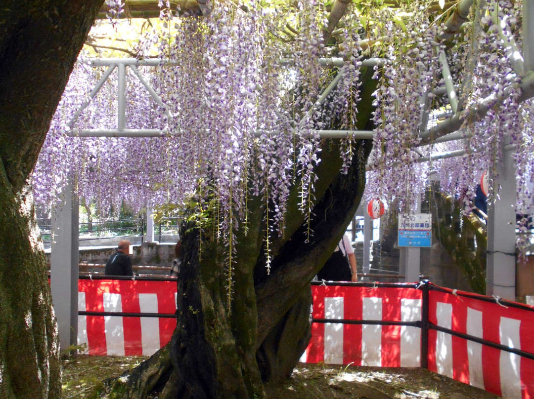 Nakayama Oto Festival-柳川市必去景点