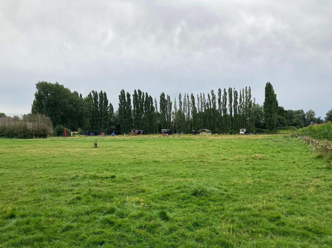 Safari tent at Pipowagen and camping farm s Gravenhof