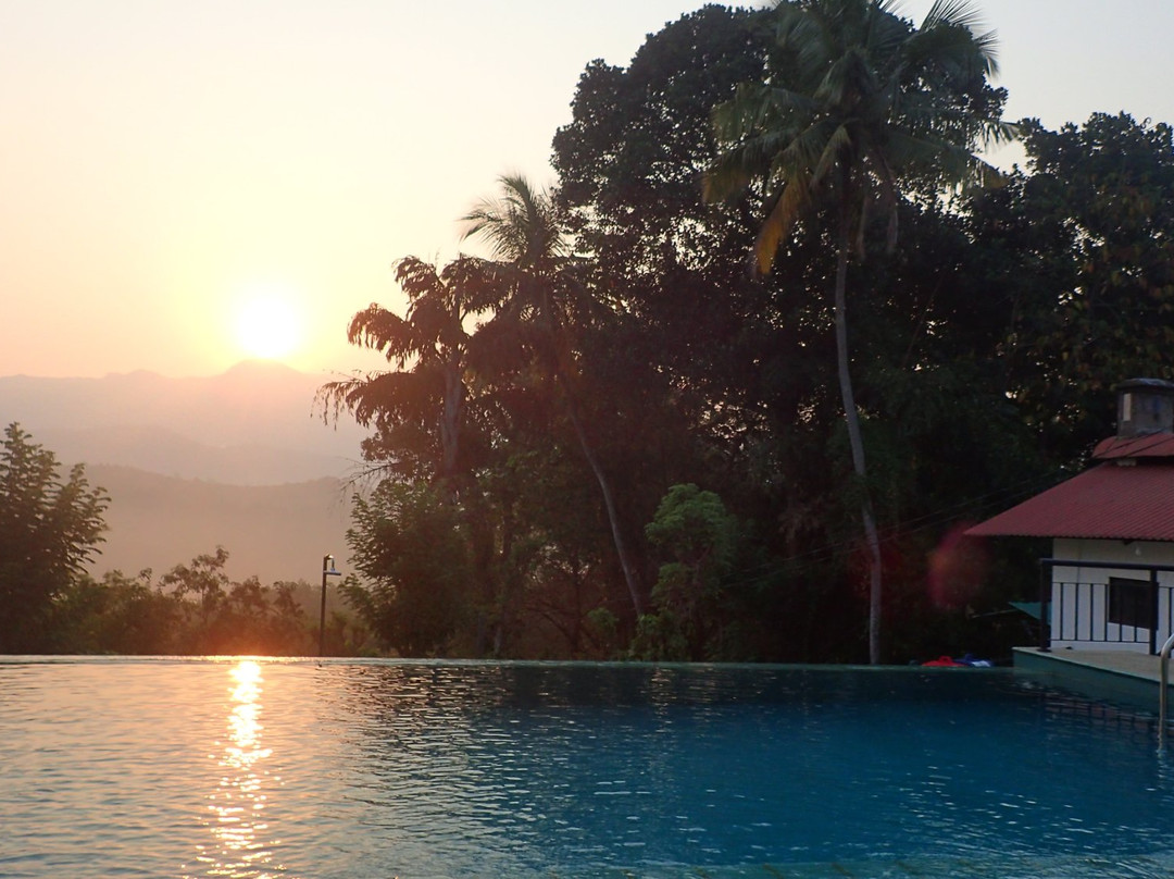 Paradise Forest Garden主图