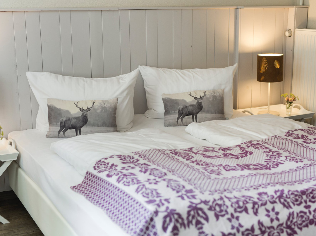 Big Country House主图