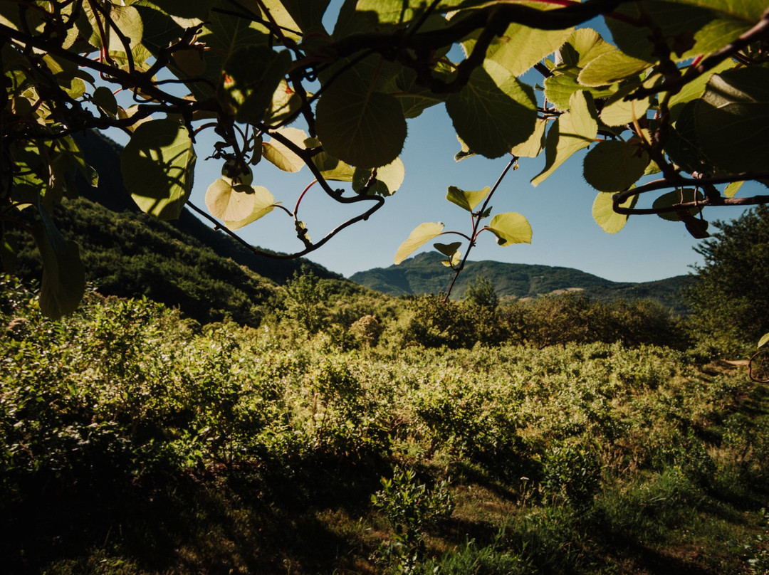 Azienda Agricola Antica via Romea-Fanano必去景点