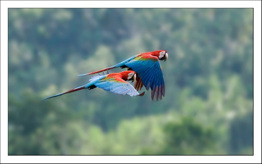 Nick's Adventures Bolivia-圣克鲁斯省必去景点