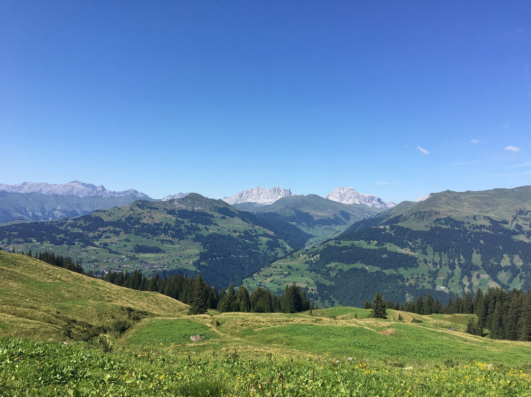 Conters im Prattigau旅游攻略图片