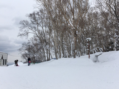 Mt. Tengu-和歌山市必去景点