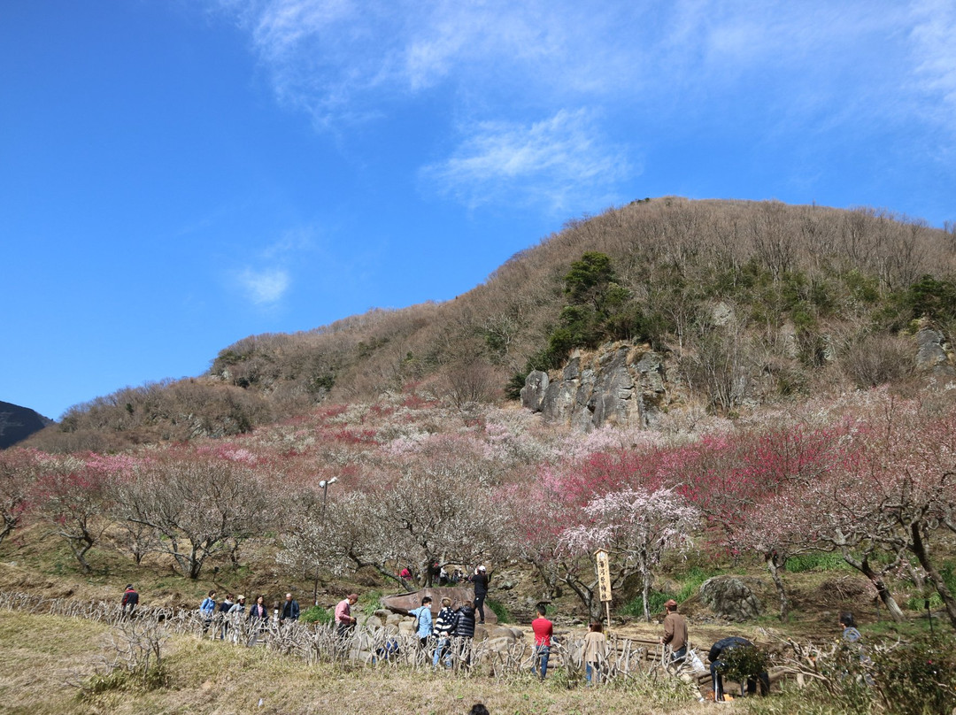 Makuyama Park-汤河原町必去景点