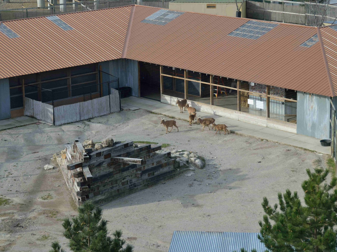 Kalahari Resorts & Conventions - Sandusky主图