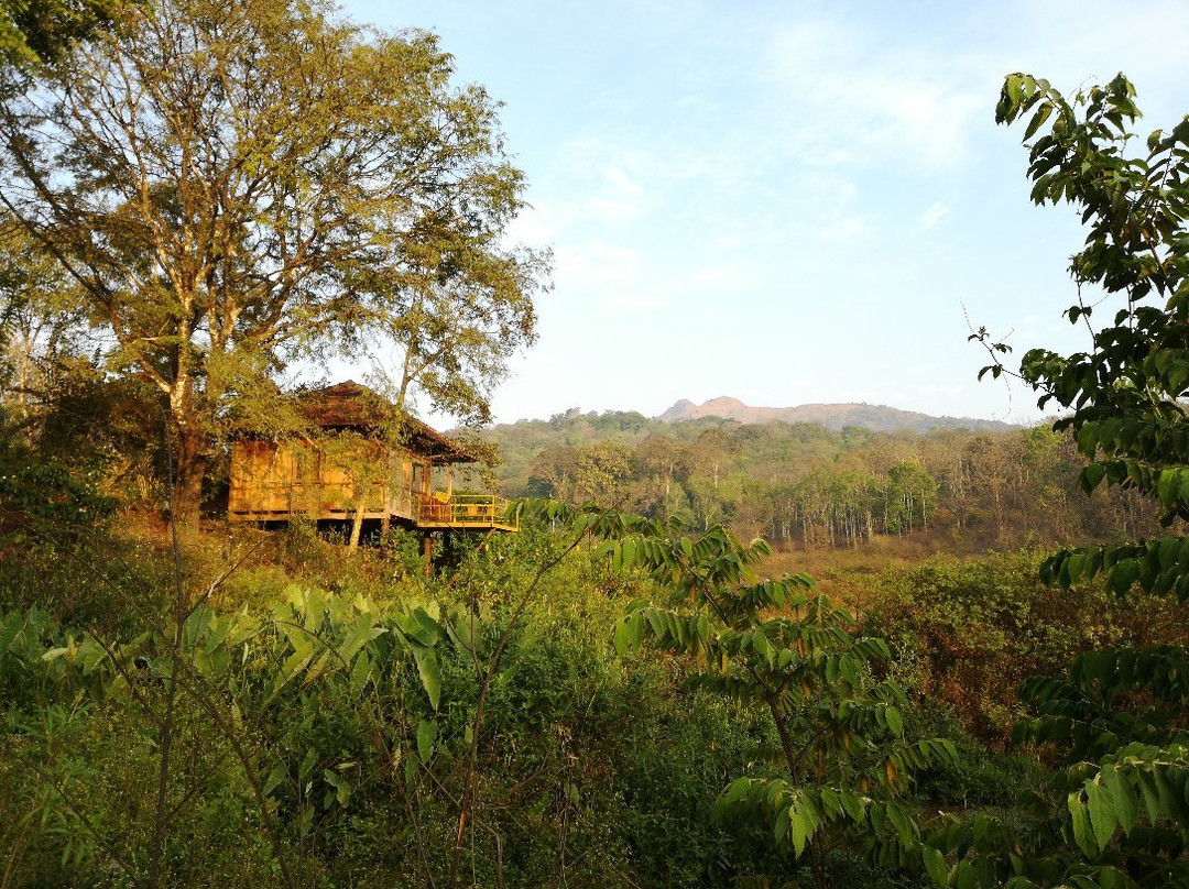 Jungle Retreat Wayanad主图