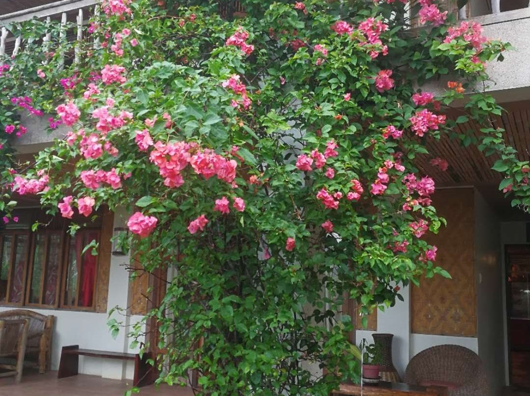 La Luna Beach Resort主图