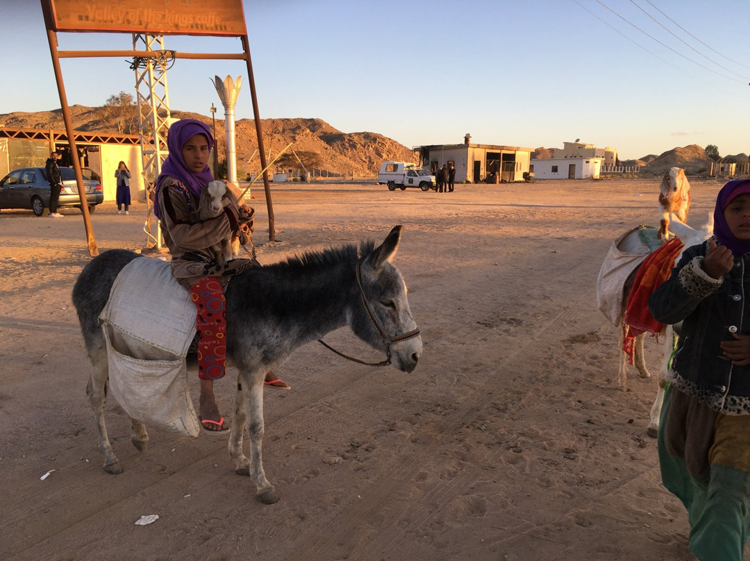 Qena Governorate旅游攻略图片