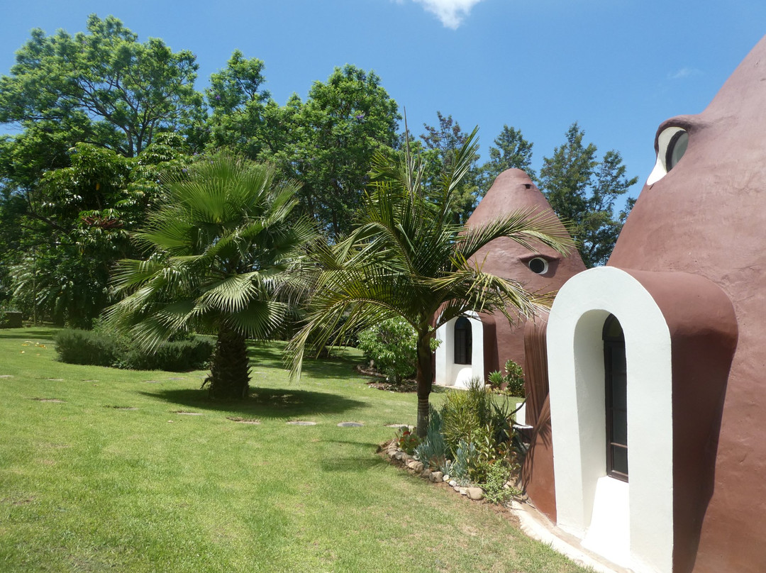 Stellenhof Farmstay B&B主图