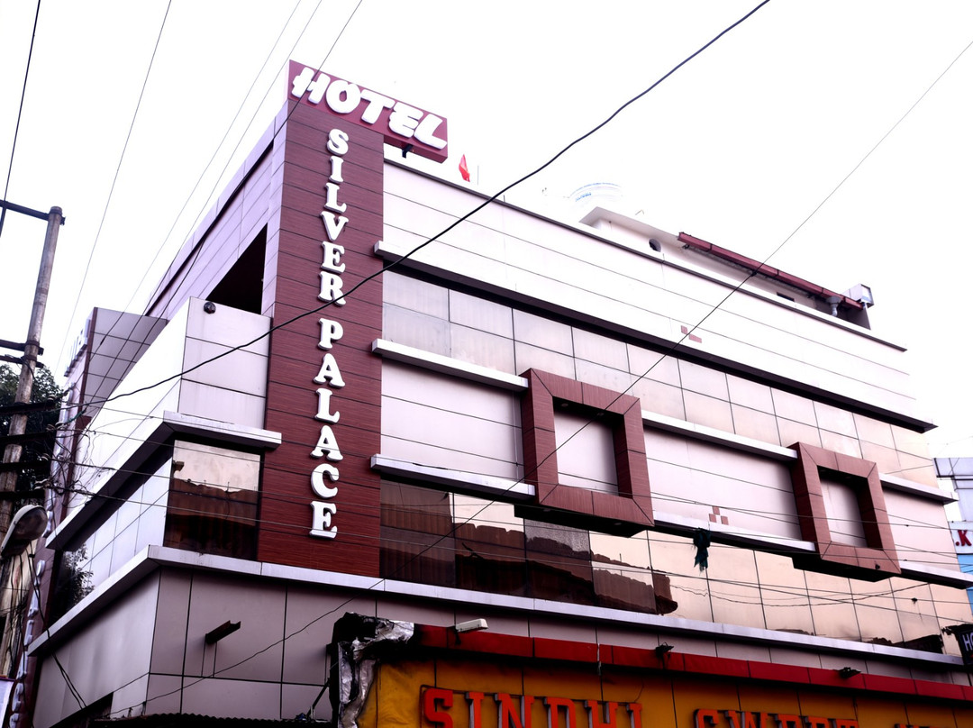 Hotel Silver Palace主图