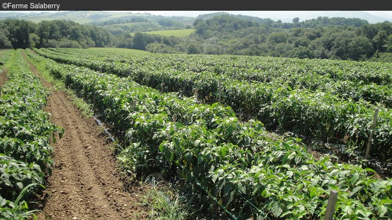 Ferme Salaberry-Saint-Pee-sur-Nivelle必去景点