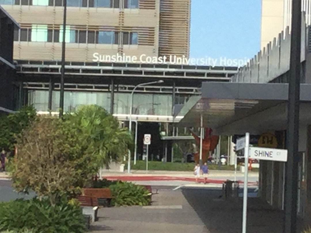 Birtinya餐馆和美食-Goodbean